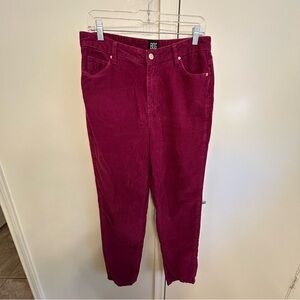NWOT BDG Urban Outfitters Pink Corduroy Pants Mom High Rise Size 29